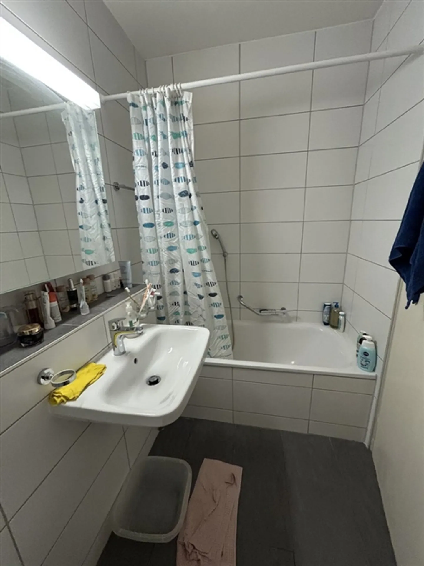 Attrapez 2,5 pièces - Photo 6 sur 7