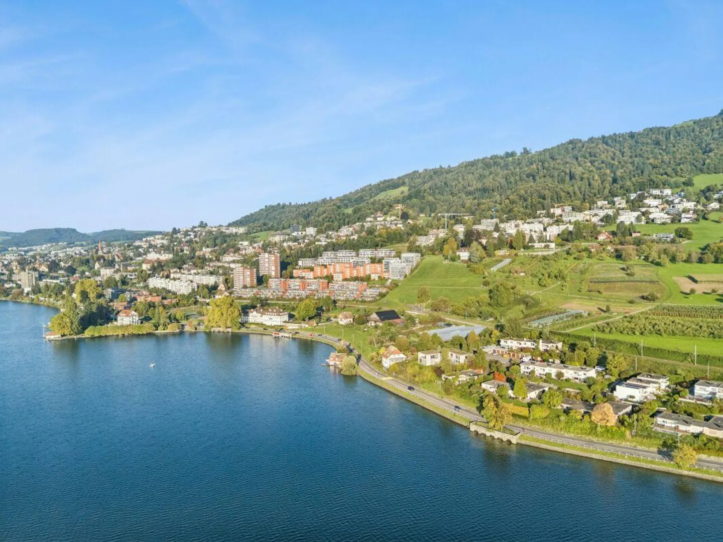 Living with a dream view of the lake in Oberwil - Photo 30 of 30