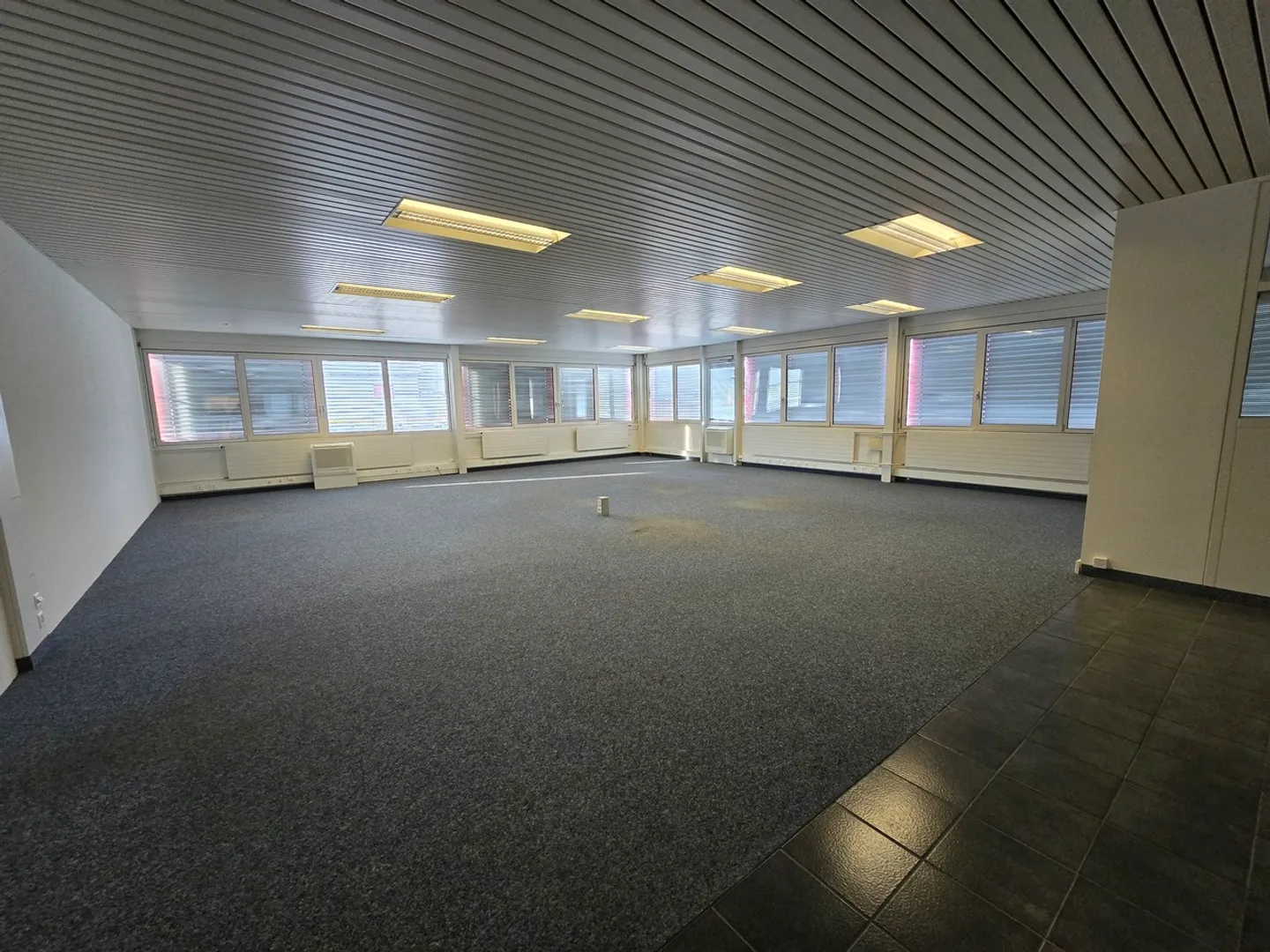 ZI Aclens-Moulin-de-Choc B - showroom, bureaux ou locaux de 279 m2 - Photo 7 sur 13