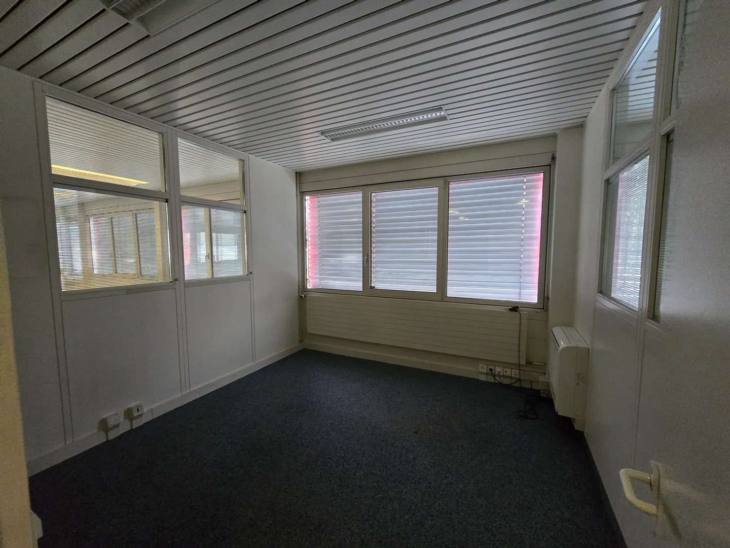 ZI Aclens-Moulin-de-Choc B - showroom, bureaux ou locaux de 279 m2 - Photo 10 sur 13