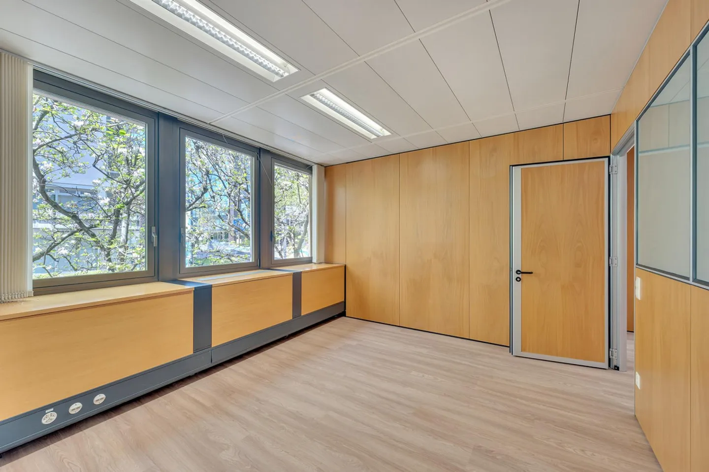 Bureau spacieux à Paradiso - Photo 2 sur 3