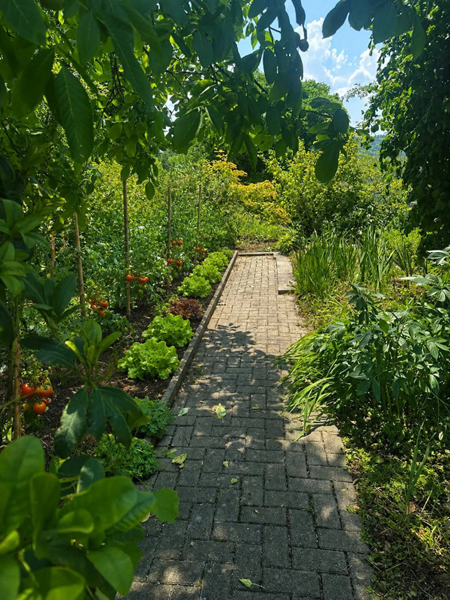 Living like in your own house - Penthouse apartment with dream terrace & garden - Photo 2 of 17