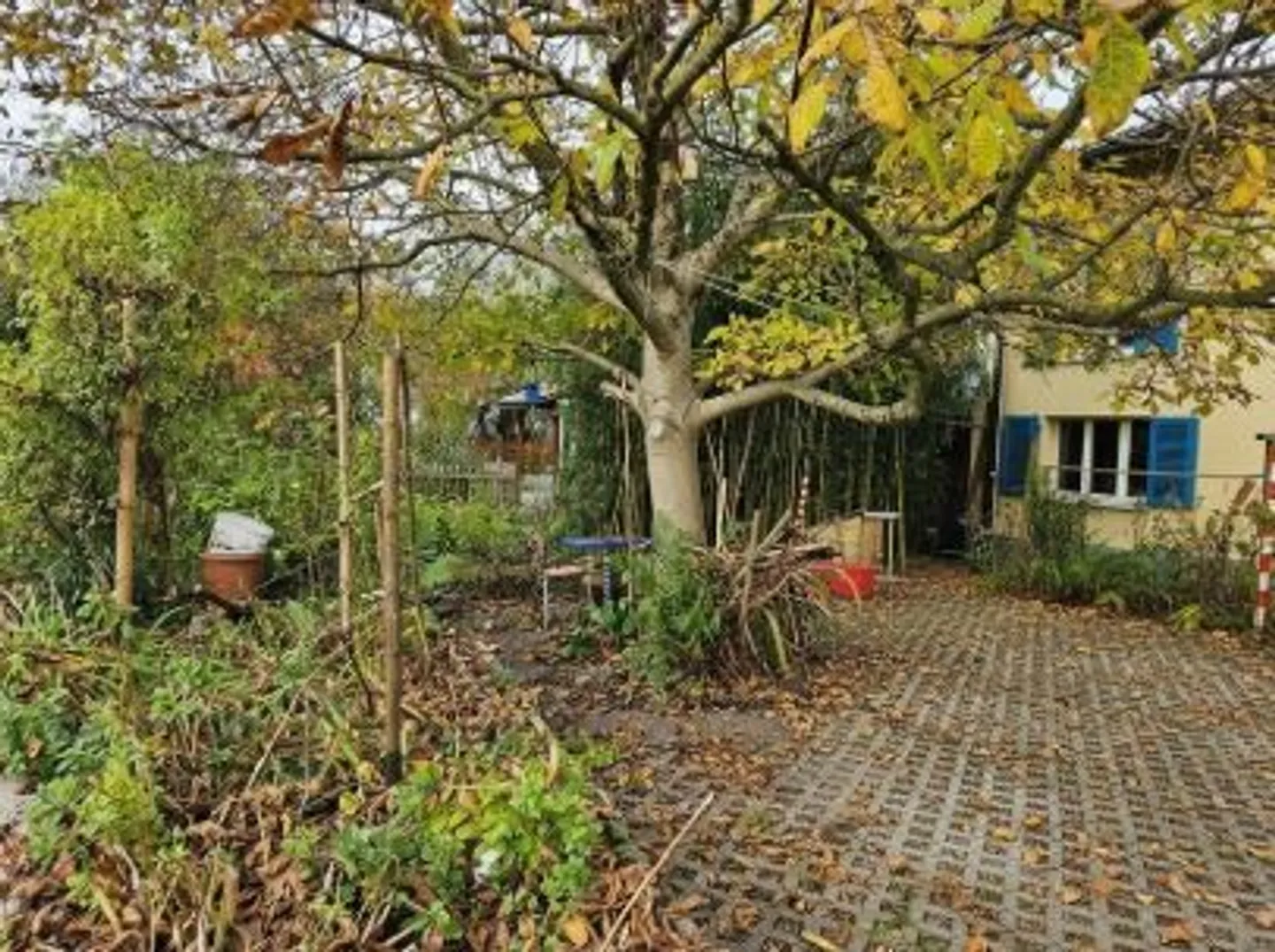 Charmantes Einfamilienhaus - Foto 5 von 13