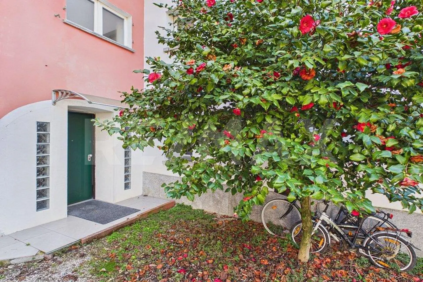 Casa familiare charmante ad Arbedo-Castione - Foto 1 di 13
