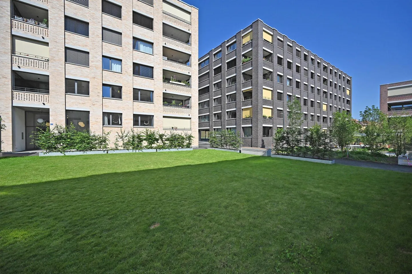 Vivere accanto a Flo e Fleur - Foto 2 di 12