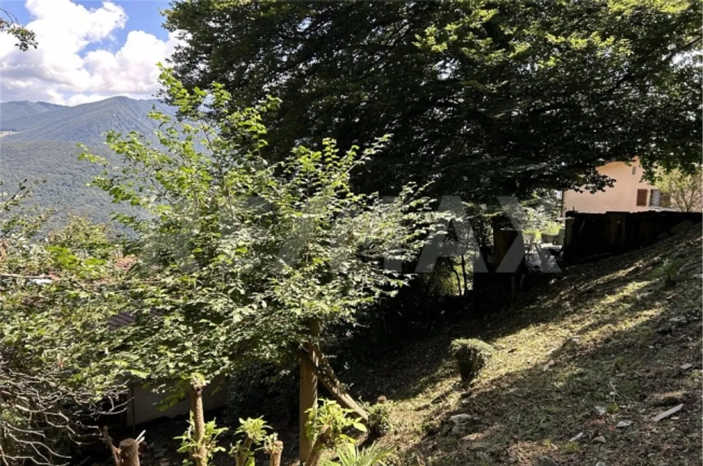 Apartment - Photo 11 of 13