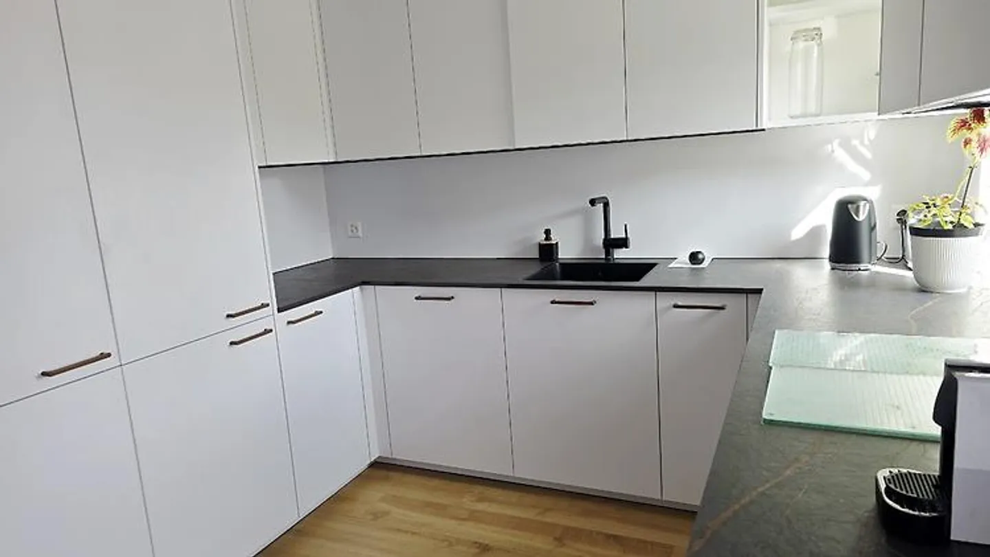 Appartement 2½ pièces à Stäfa (ZH), meublé, TEMPORAIRE - Photo 3 sur 10