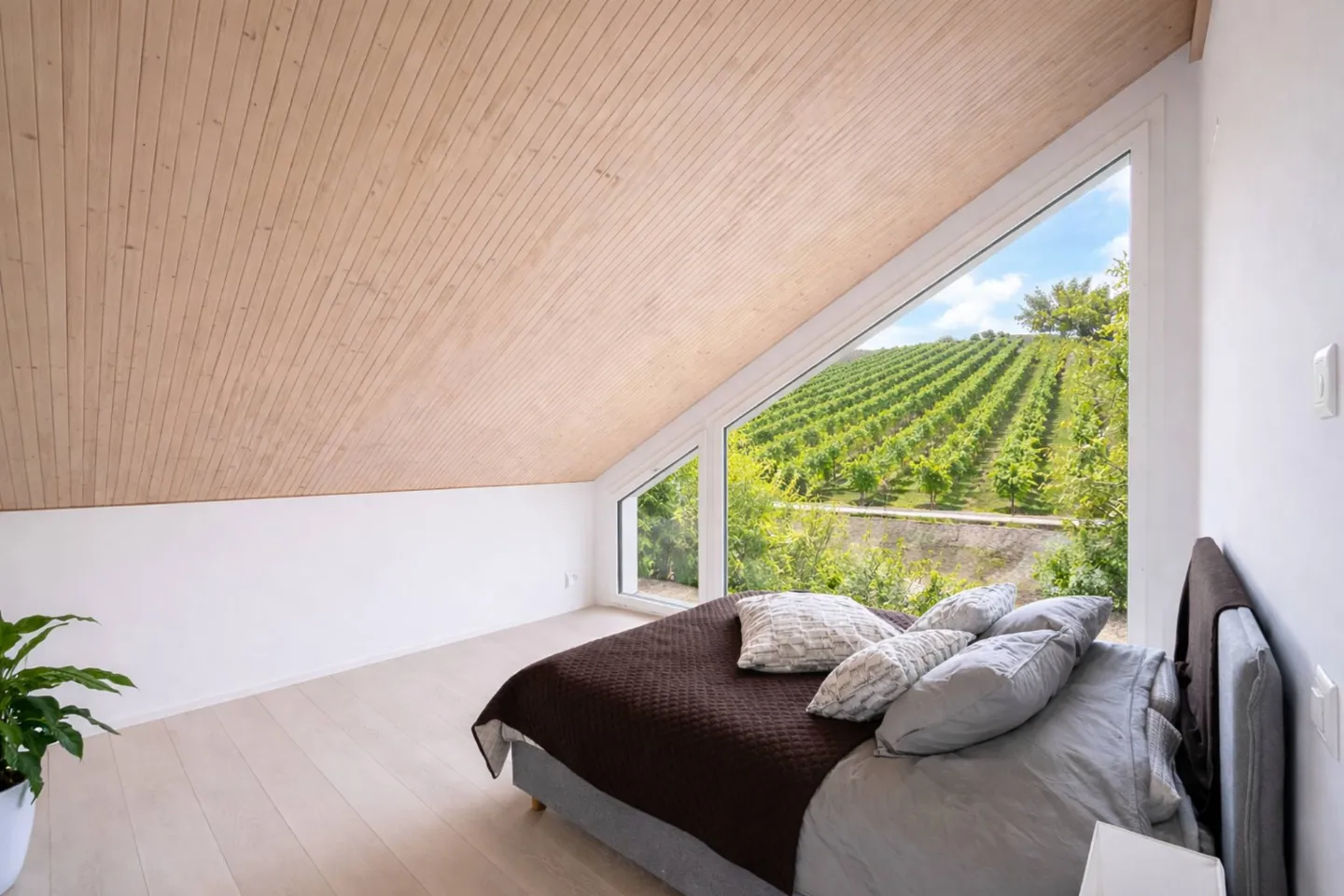 Villa d'architecte au cœur des vignobles - Photo 9 sur 13