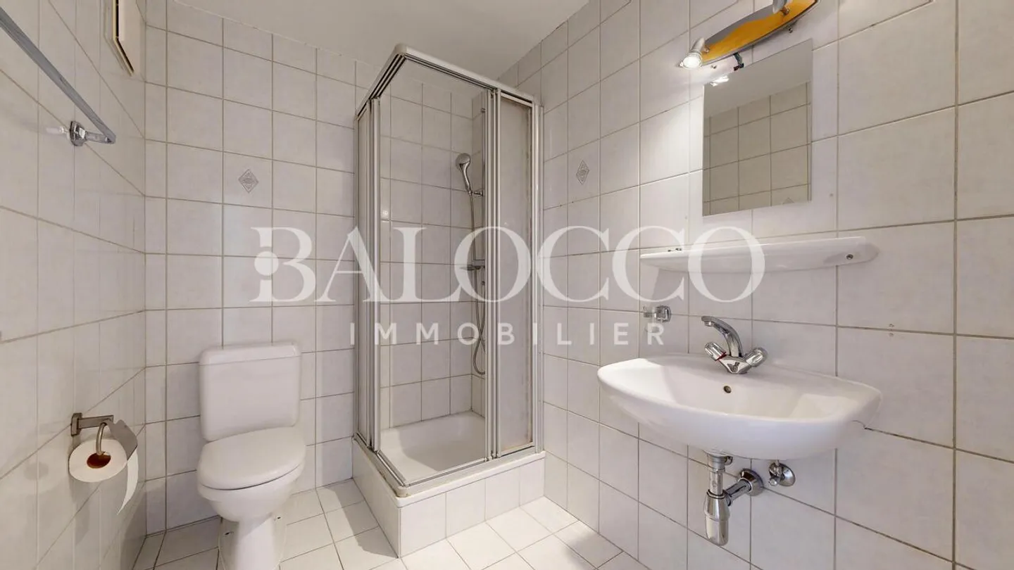 Spacious Duplex with 4.5 Rooms - Photo 9 of 10