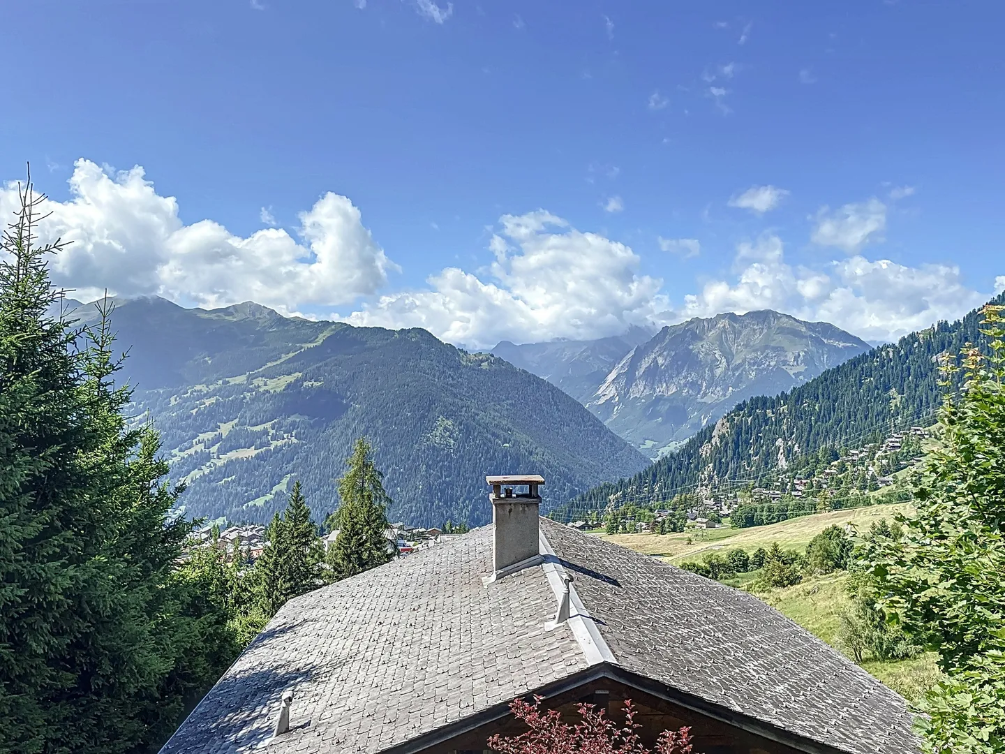 CHALET WITH 3 APARTMENTS - Photo 2 of 12