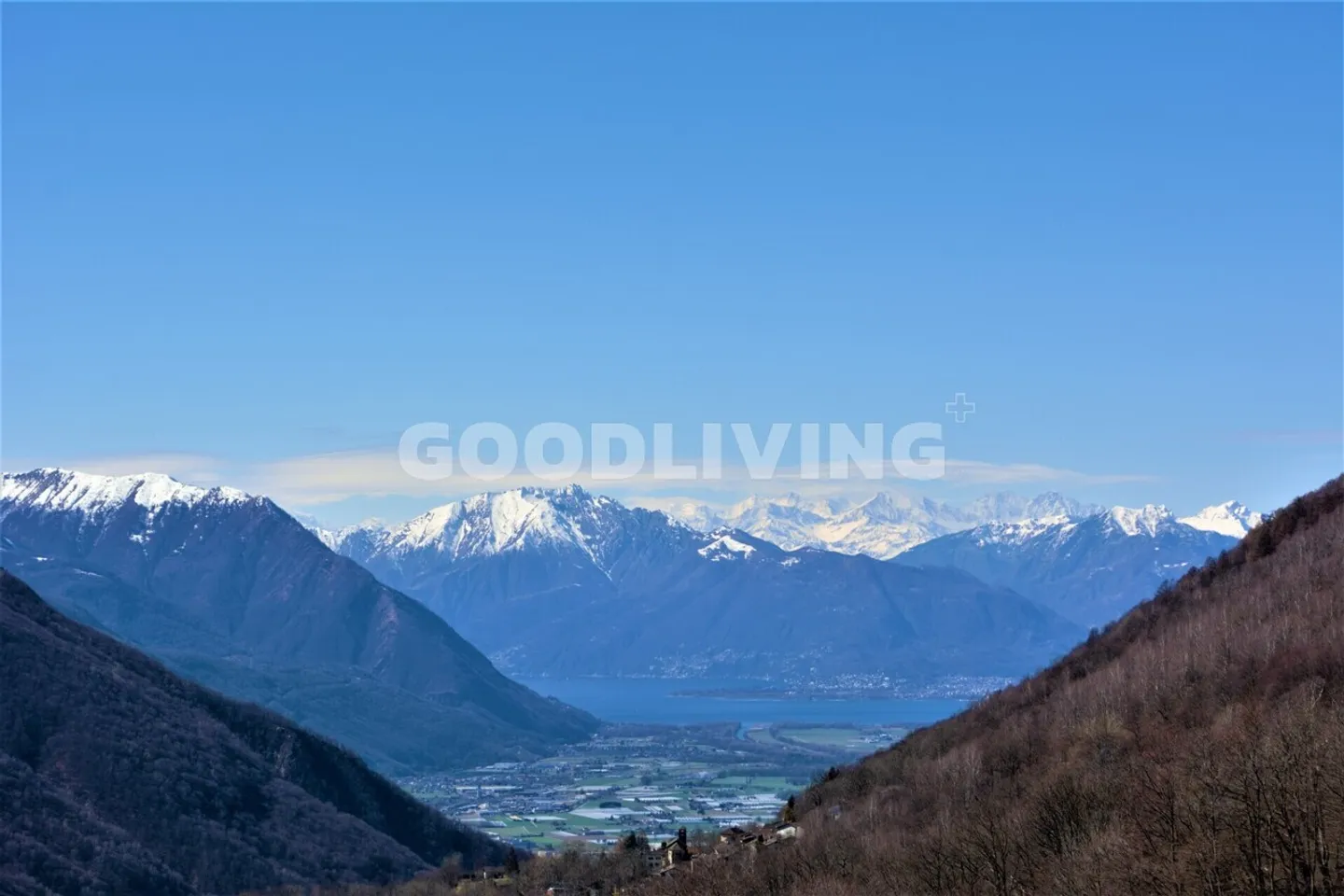 Casa bifamiliare in affitto - Foto 3 di 6