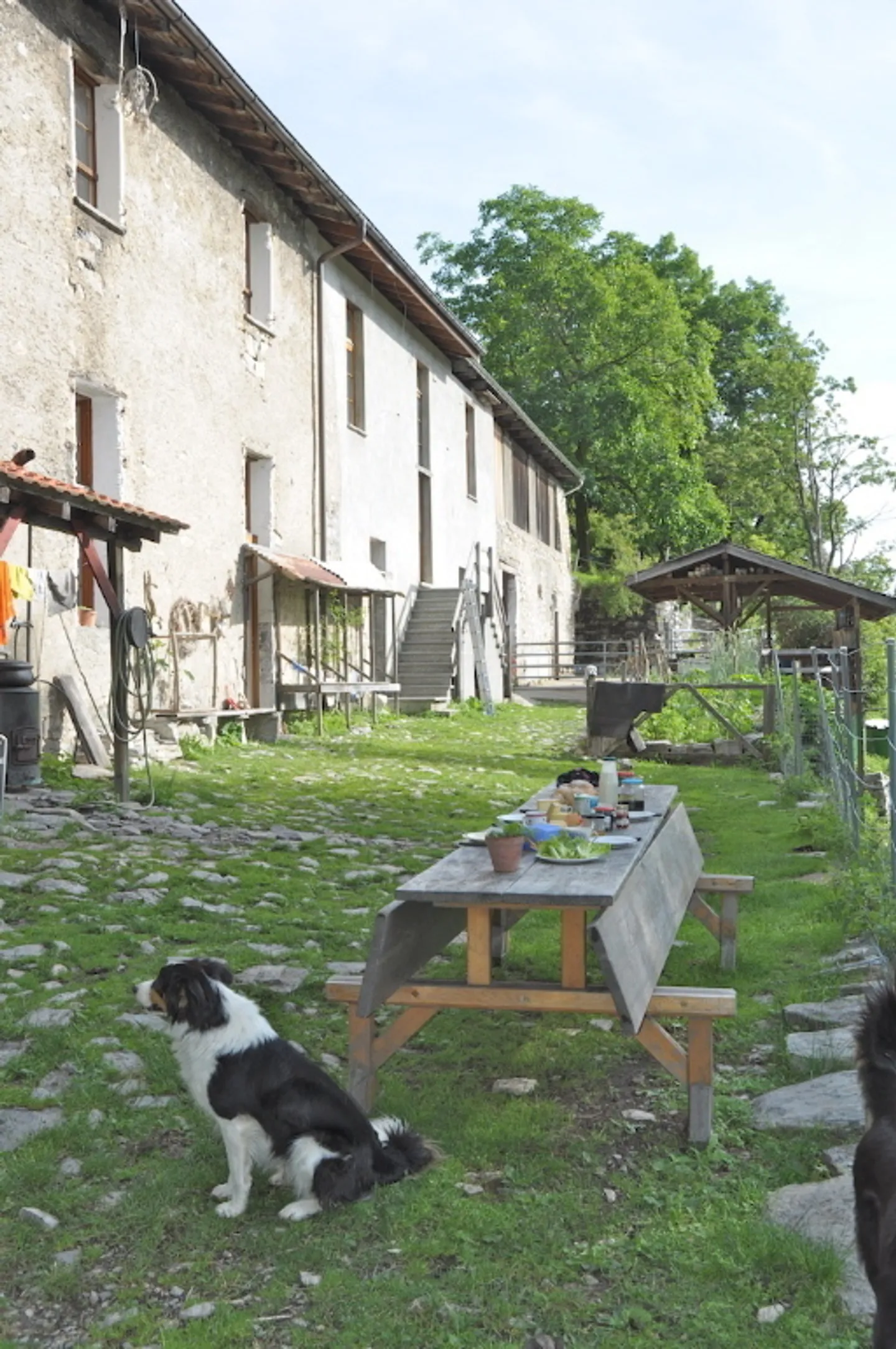 Rustic Mountain Farm with Warehouse - Photo 11 of 15
