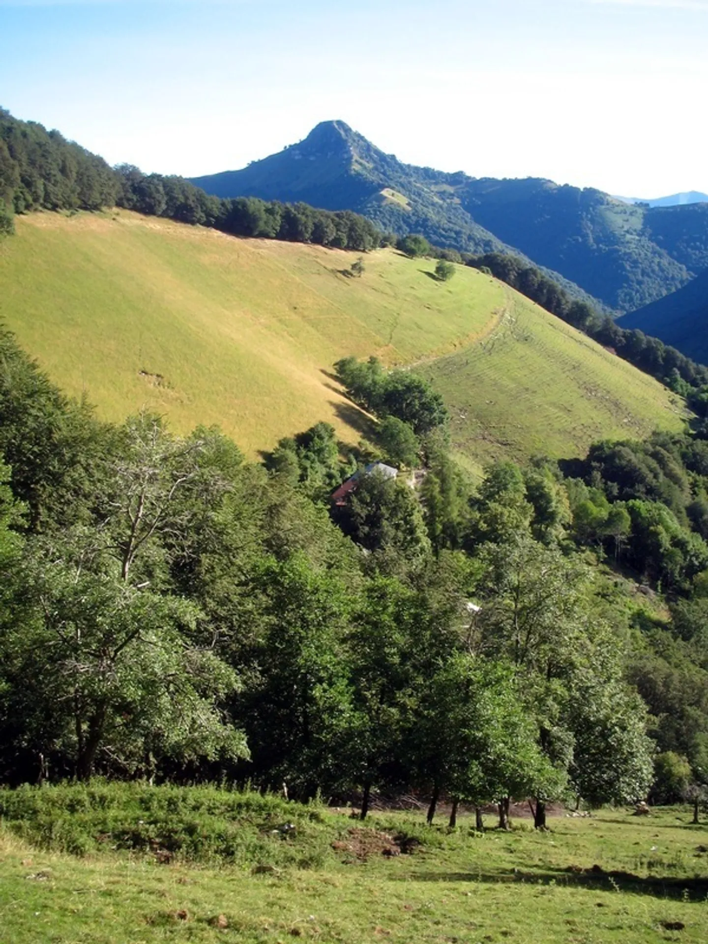 Rustic Mountain Farm with Warehouse - Photo 14 of 15