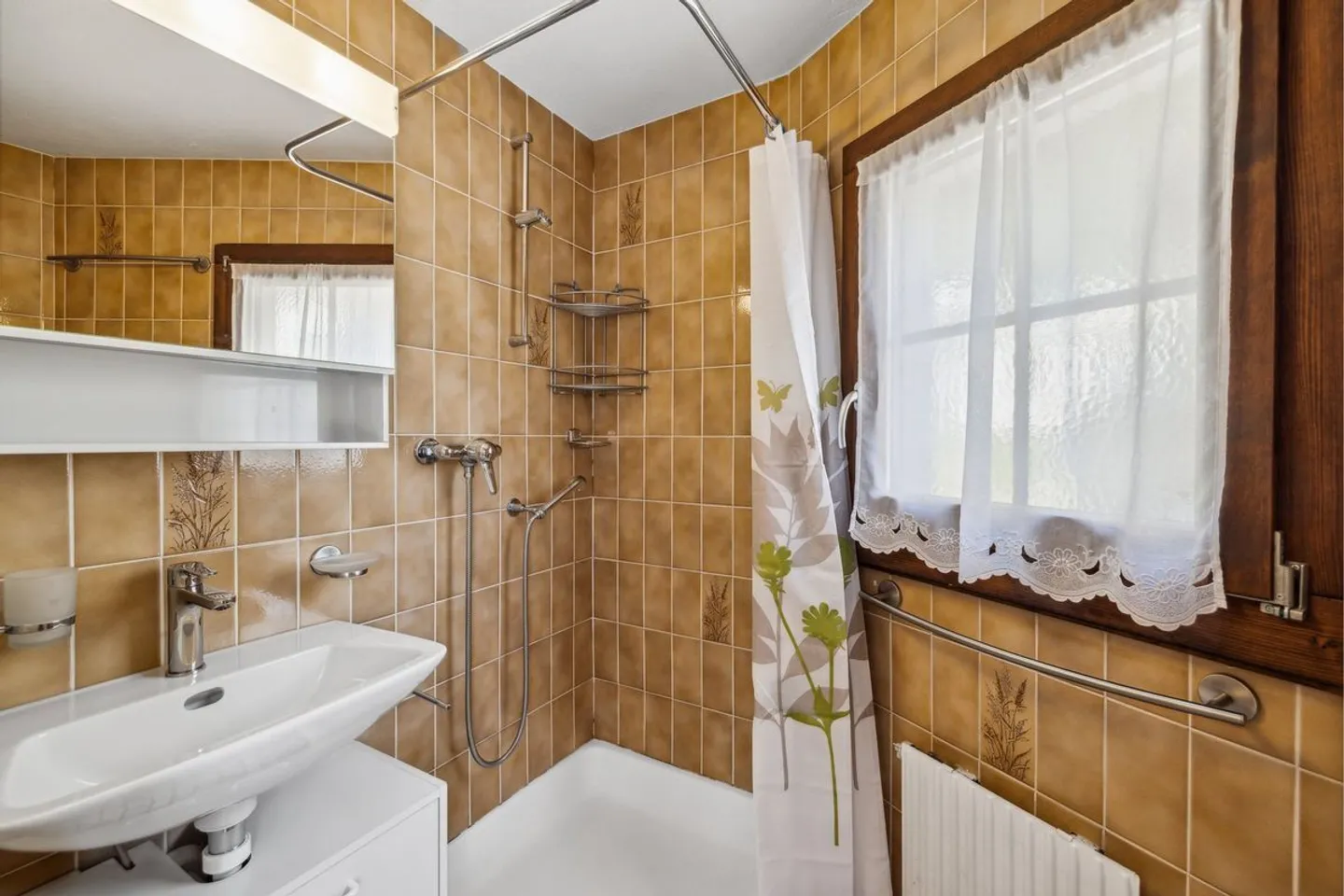APARTMENT IN NATURE IN CHAMPEX-LAC - Photo 6 of 10