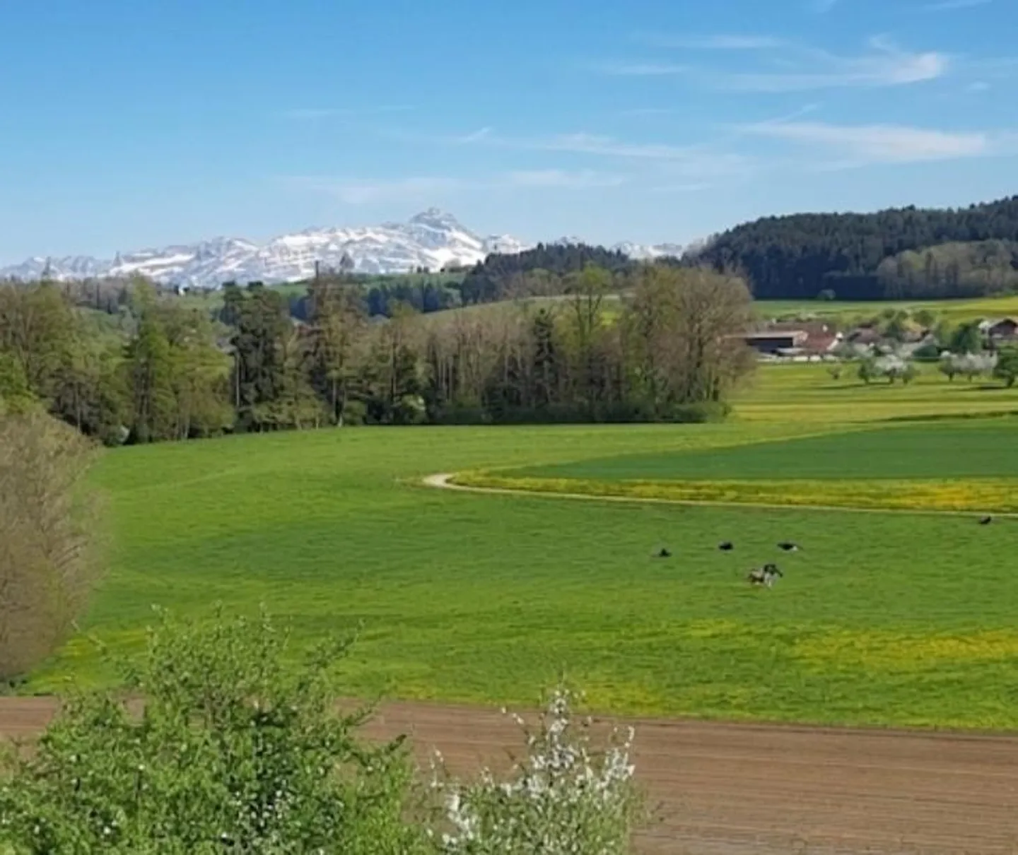 Helle Wohnung EG mit schöner Aussicht - Photo 2 sur 13