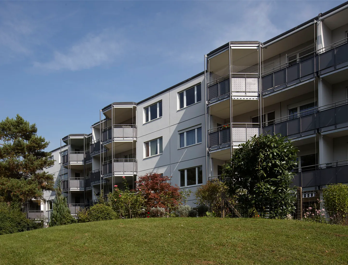 Vivere nel bel Greifensee - Foto 1 di 6