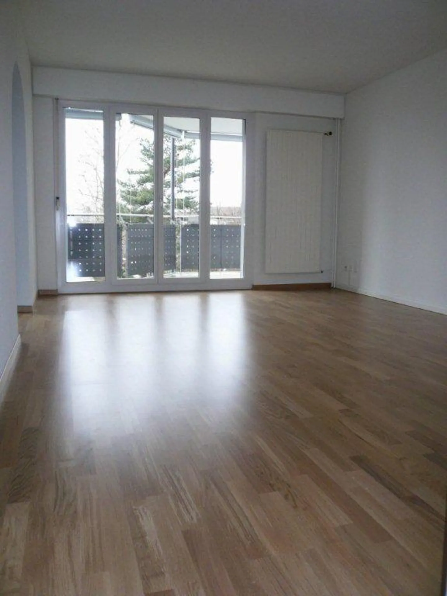 Vivere nel bel Greifensee - Foto 2 di 6