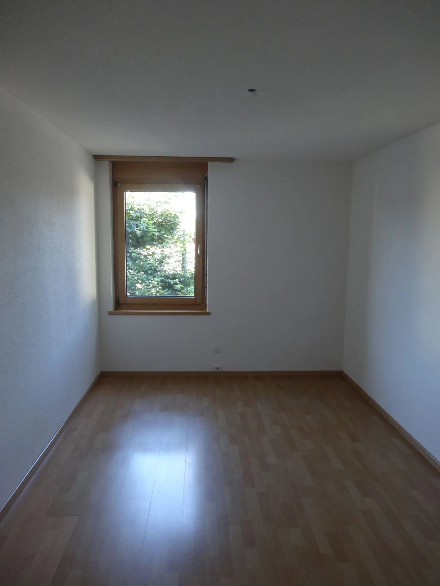 Charmante 4.5 Zimmer Wohnung - Foto 8 von 12