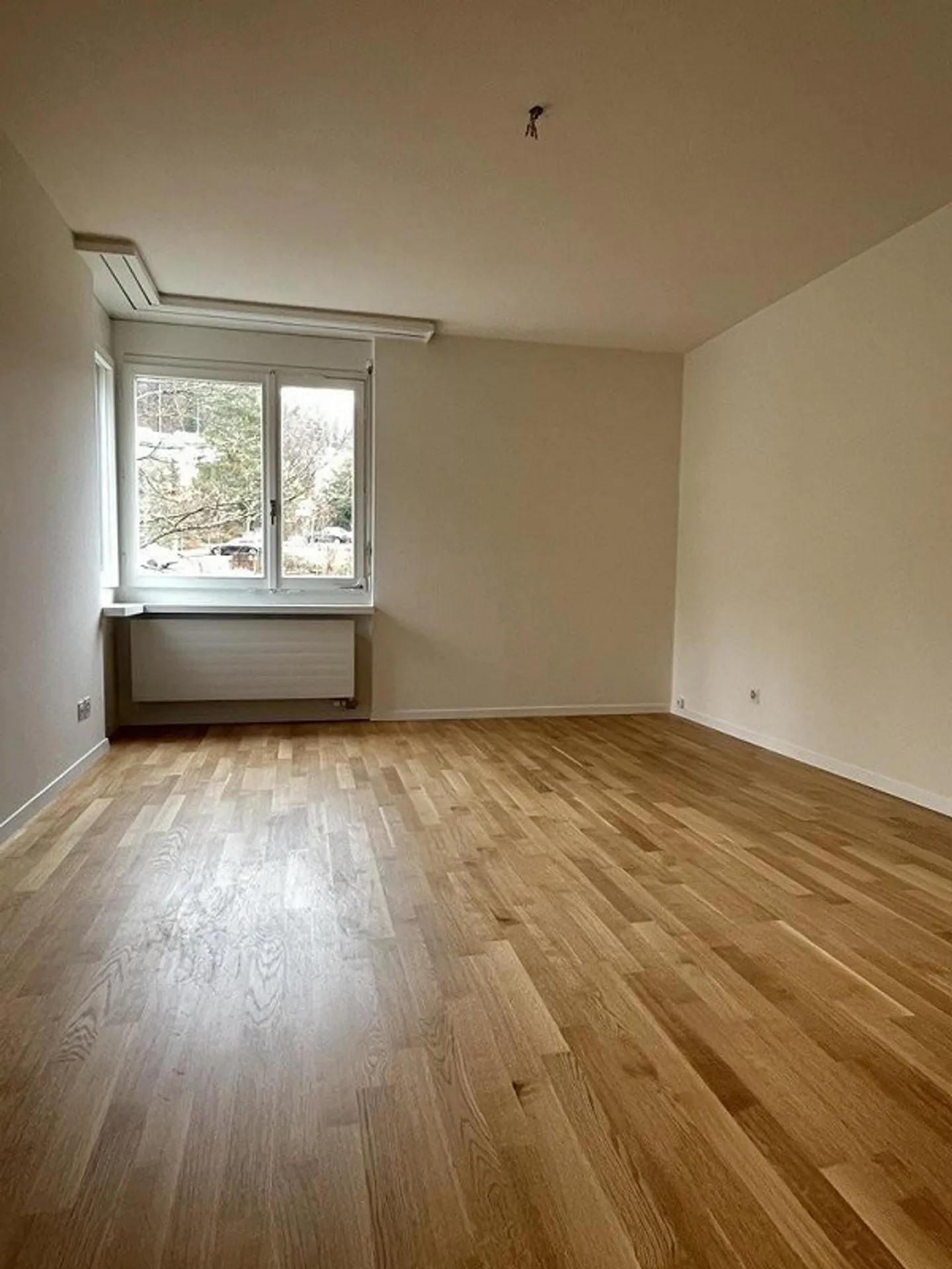 Living on the Edge of the Forest - Photo 8 of 12