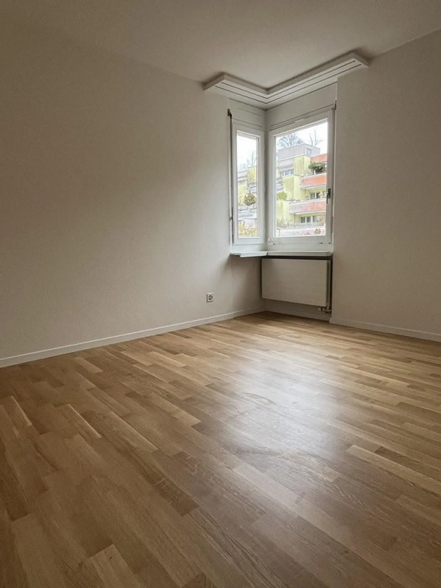 Living on the Edge of the Forest - Photo 9 of 12