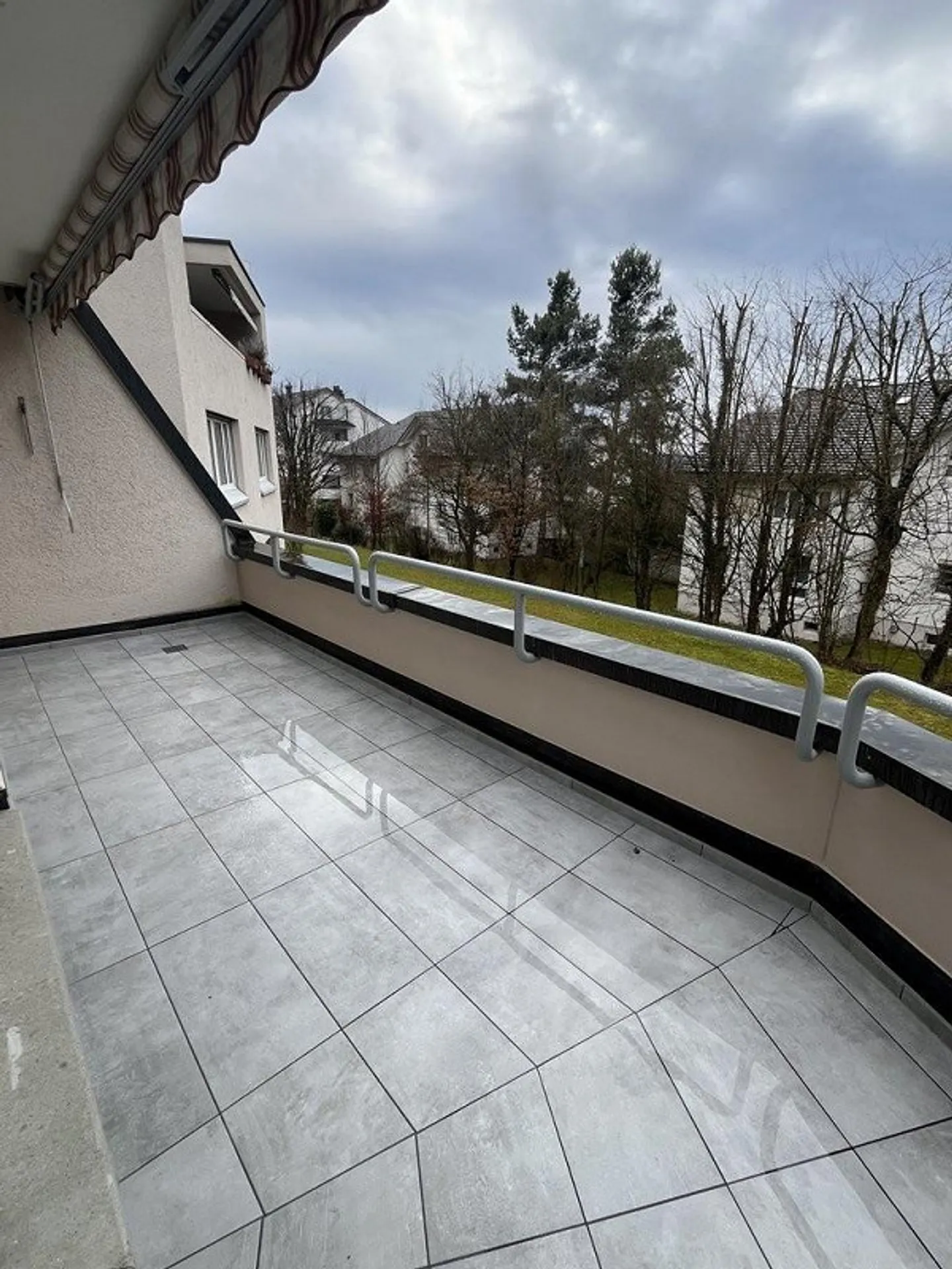 Living on the Edge of the Forest - Photo 12 of 12