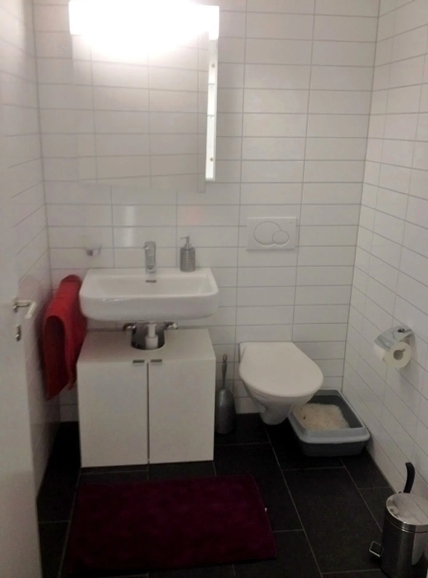 APPARTAMENTO 2½ STANZE A DIETIKON (ZH), ARREDATO - Foto 9 di 10