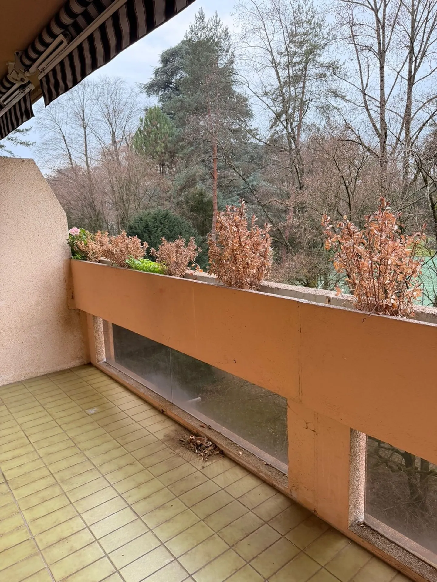 Beautiful 5-room apartment in a quiet location with balconies in Malagnou - Photo 1 of 8