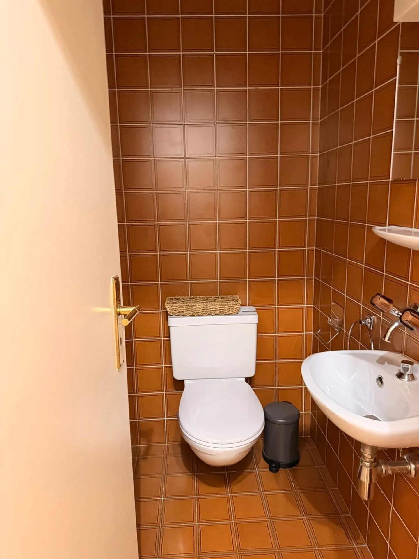 Beautiful 5-room apartment in a quiet location with balconies in Malagnou - Photo 8 of 8