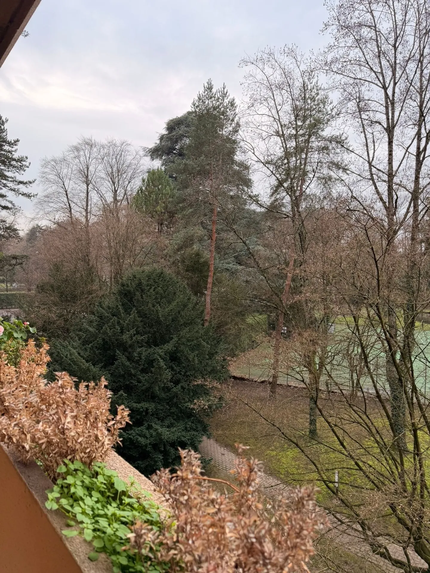 Beautiful 5-room apartment in a quiet location with balconies in Malagnou - Photo 5 of 8