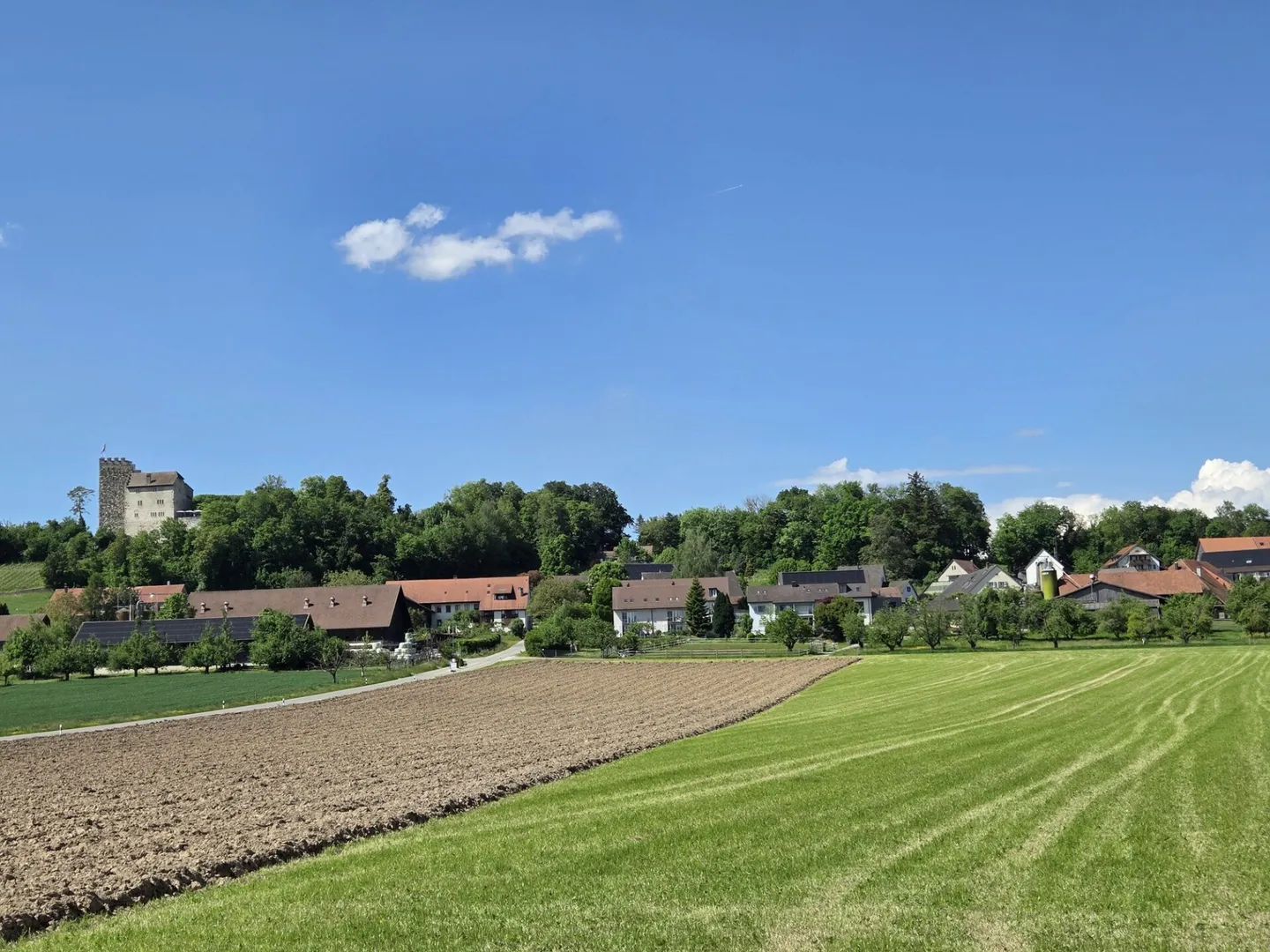 Preferably located building land (1,664m²), perfectly suitable for single-family, two-family, row, or multi-family houses - Photo 4 of 4
