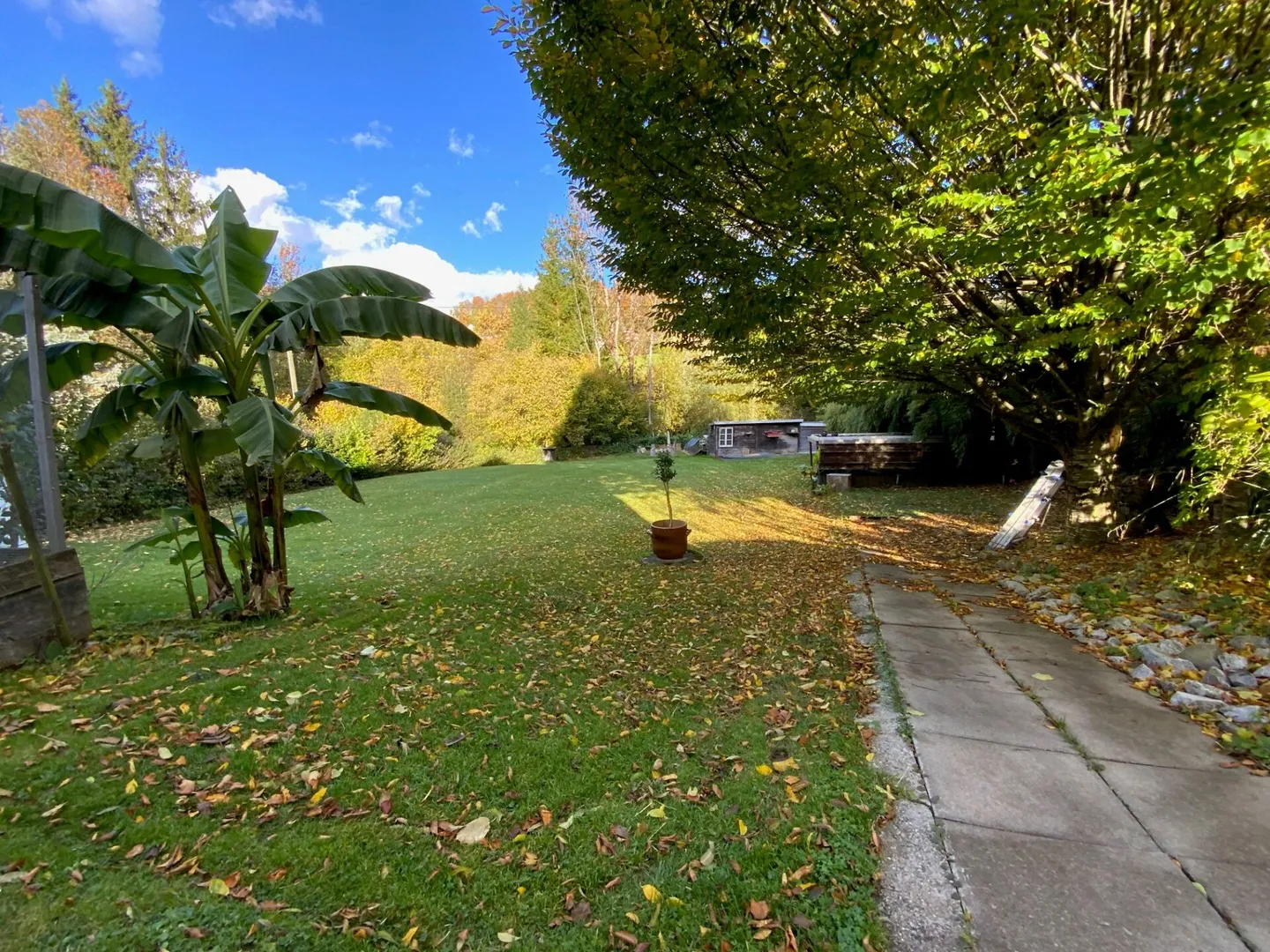 6.5-room single-family house for rent - Photo 4 of 8