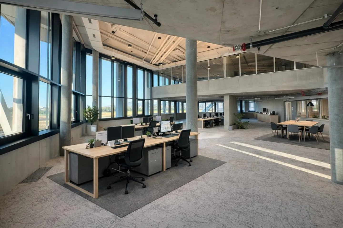 More Space for Your Business - 314 m² in Vivo Aesch - Photo 1 of 8