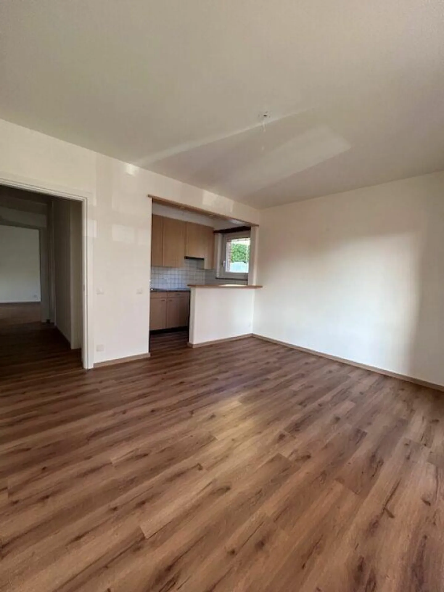 Charming 3.5 Room Apartment - Photo 1 of 14