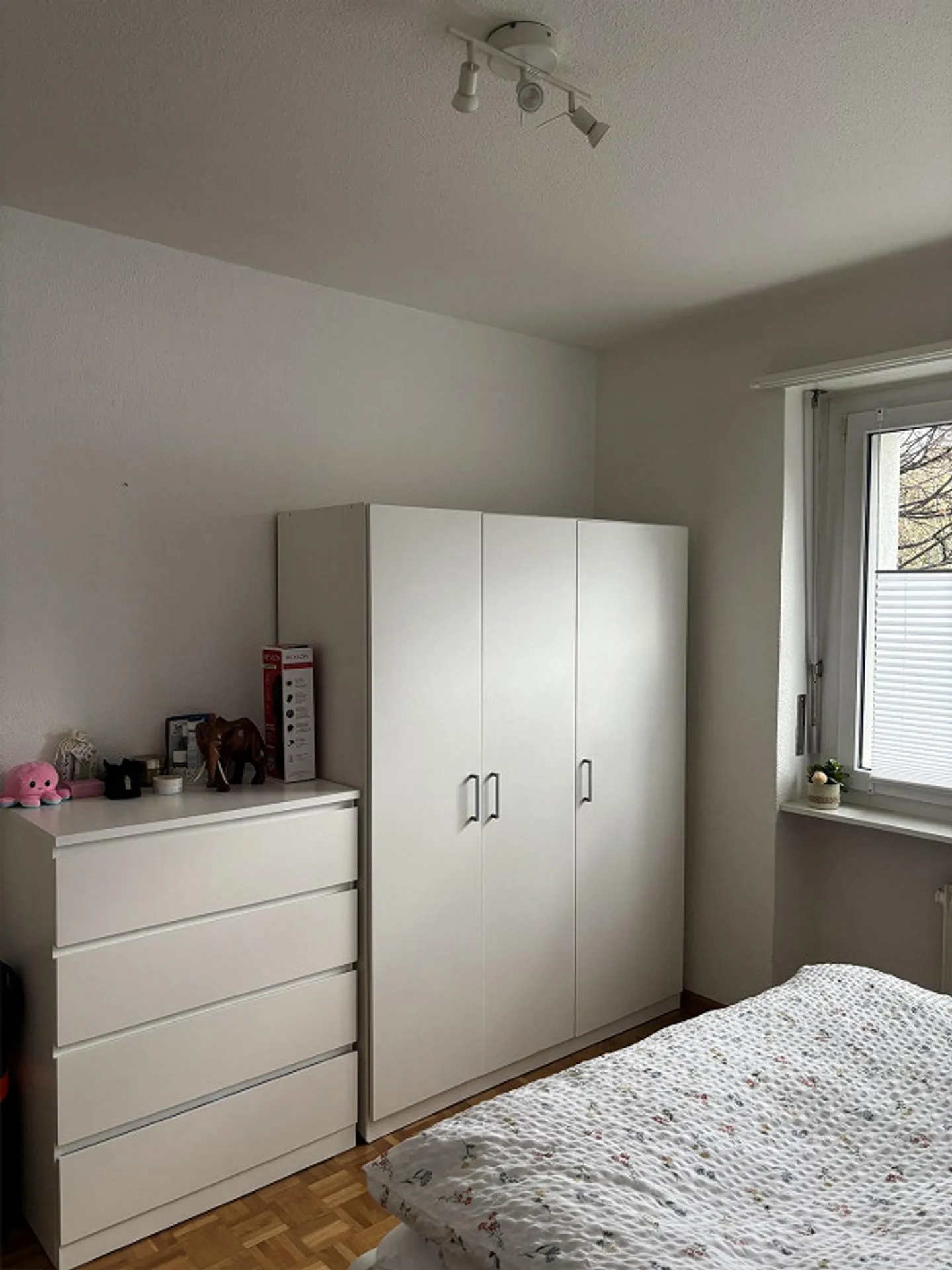 Large, bright shared room in Gotthelf quarter - from 01.05 - Photo 4 of 4