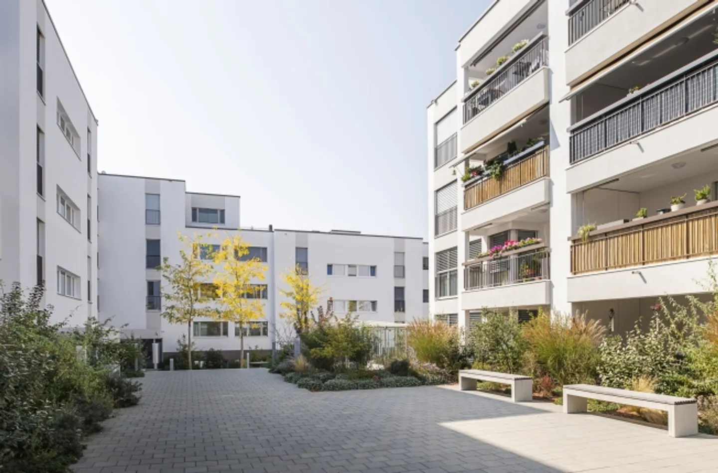 Bright 3.5-room apartment paradise in Unterkulm – Your new home is waiting! - Photo 3 of 9