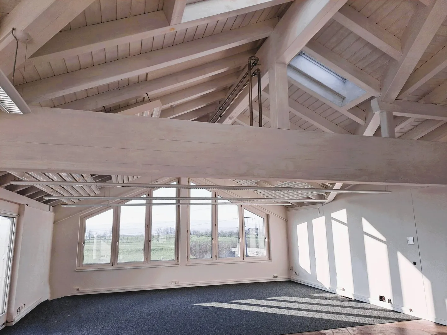 Uffici moderni a Risch-Rotkreuz con una splendida terrazza - Foto 3 di 9