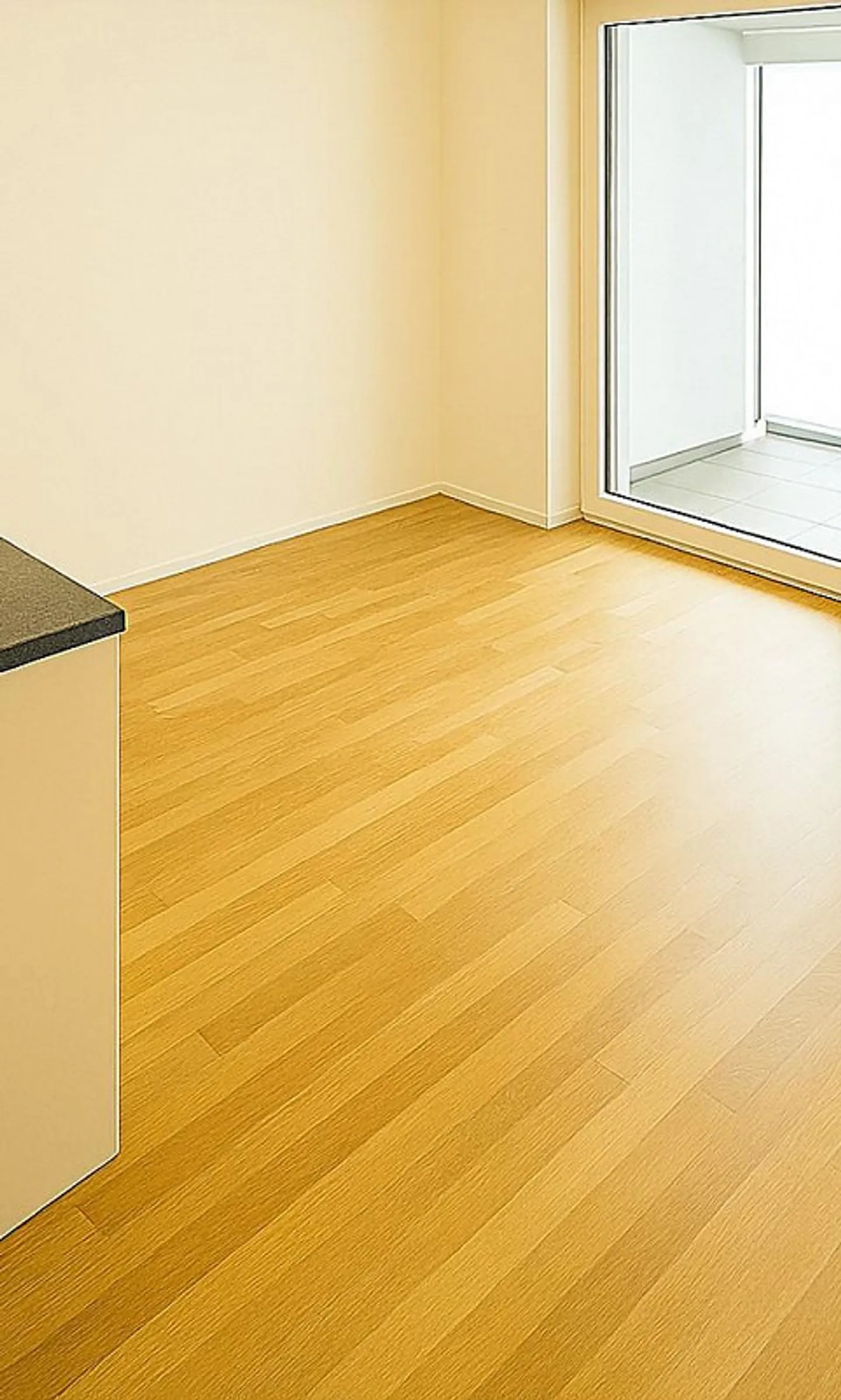 Design incontra la natura: giardino d'inverno con panorama montano - Foto 3 di 20