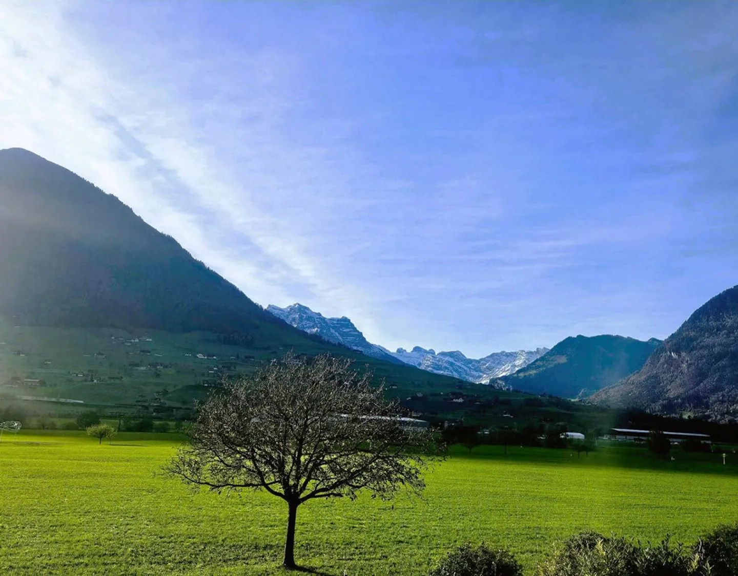 Design incontra la natura: giardino d'inverno con panorama montano - Foto 17 di 20