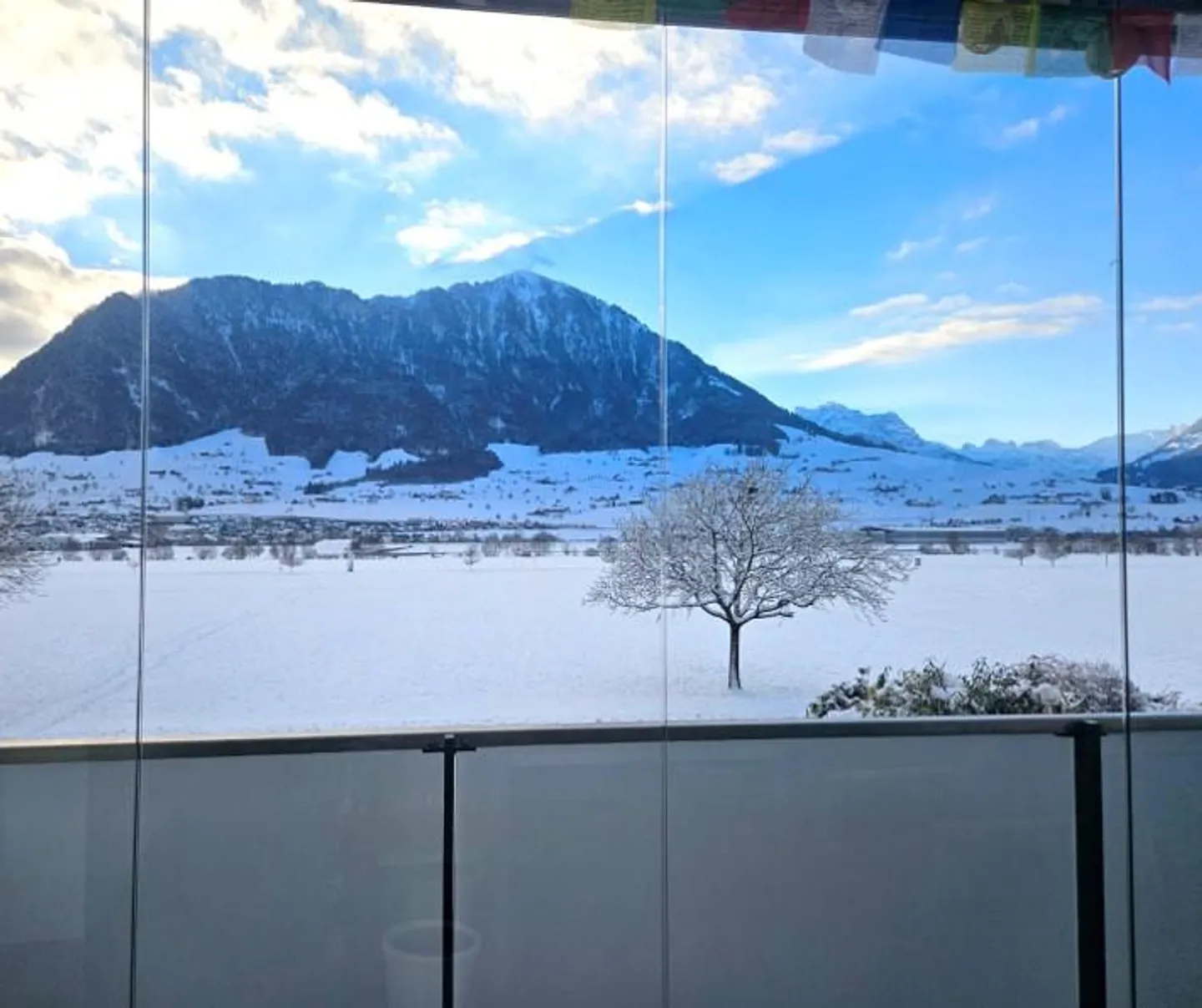 Design incontra la natura: giardino d'inverno con panorama montano - Foto 19 di 20