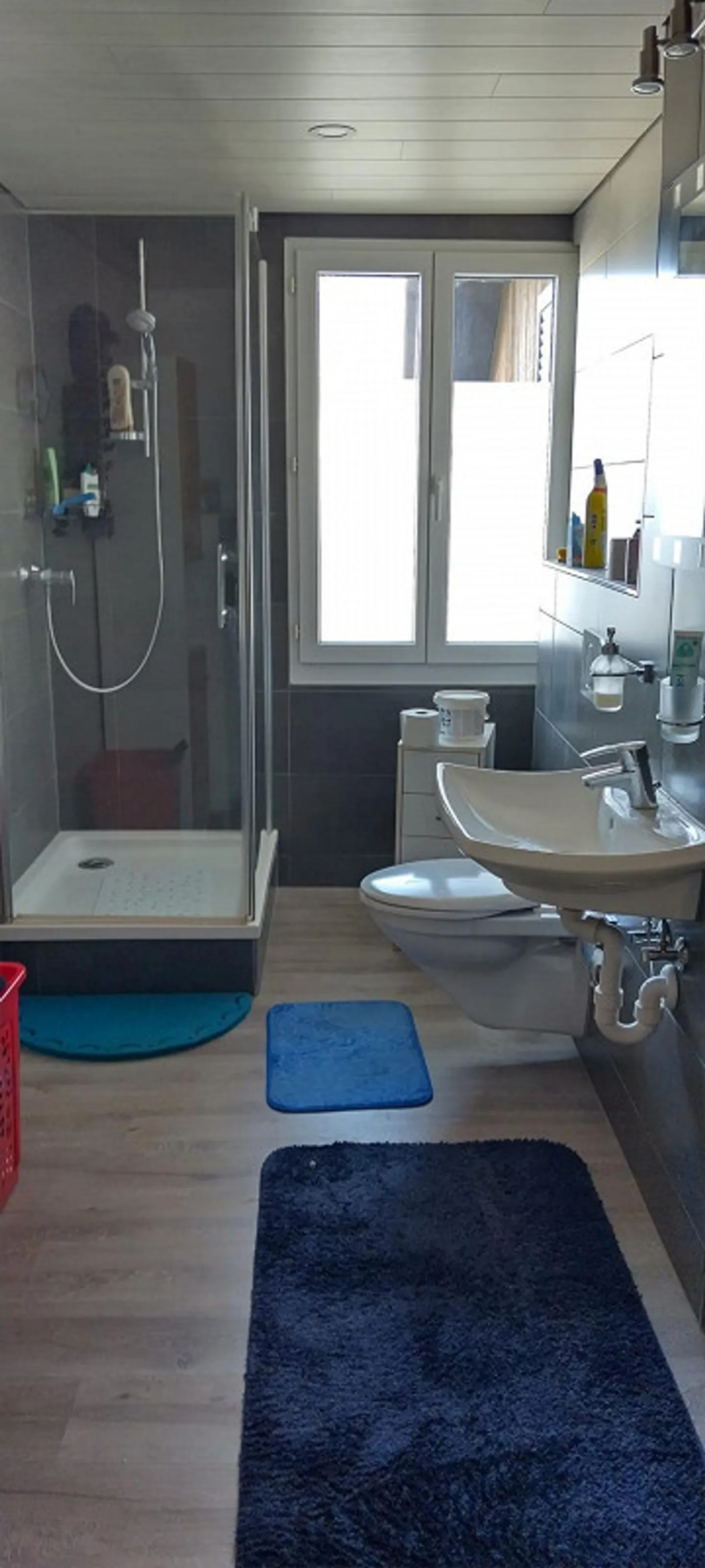 Charmante Renovierte Wohnung - Foto 10 von 11