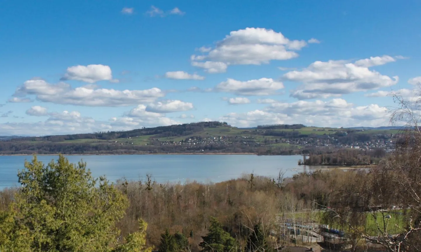 Magnifique Appartement Vue Lac - Photo 1 sur 6