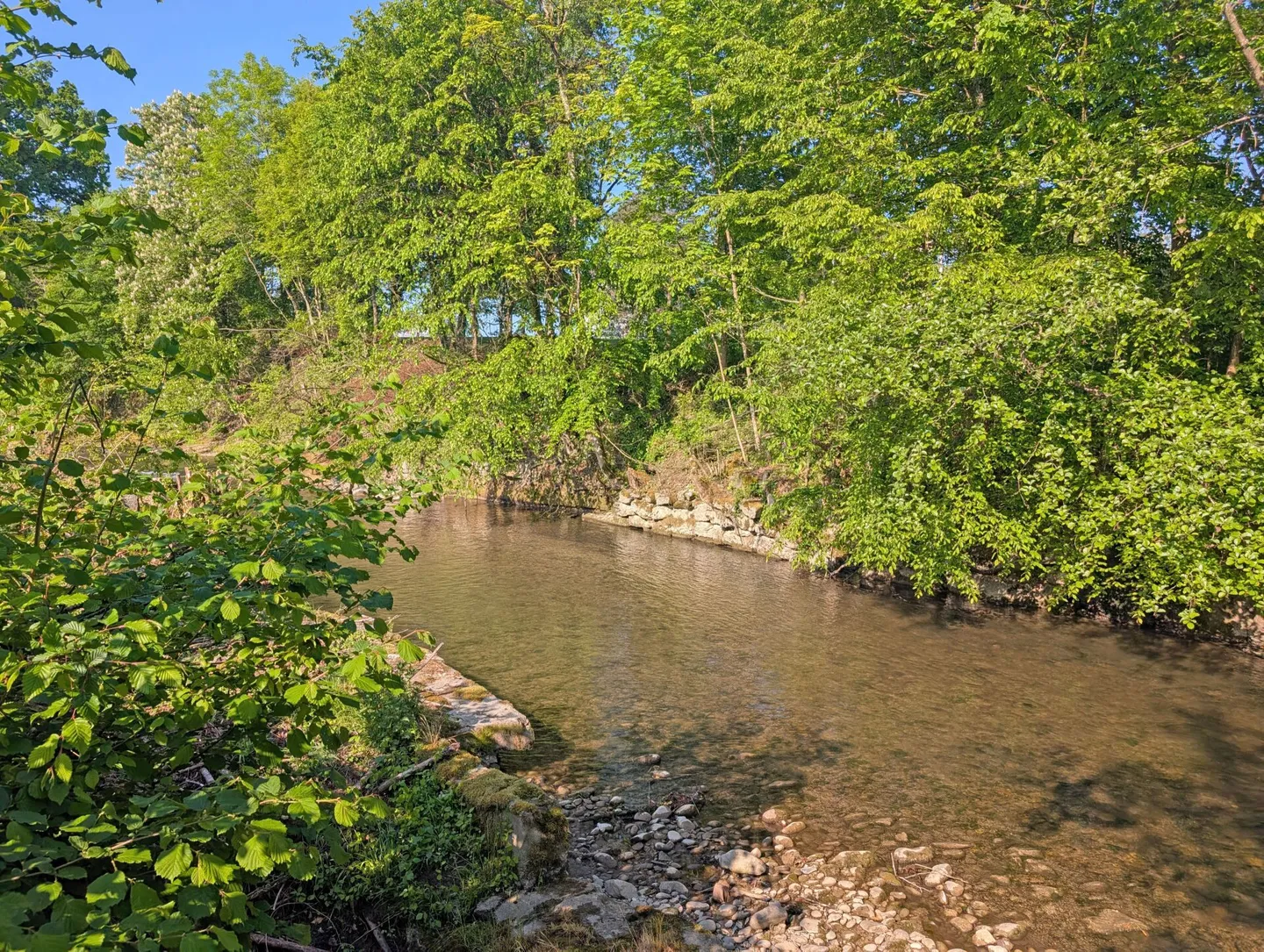 Gemütliches Tiny House mit Flussblick - Foto 9 von 13
