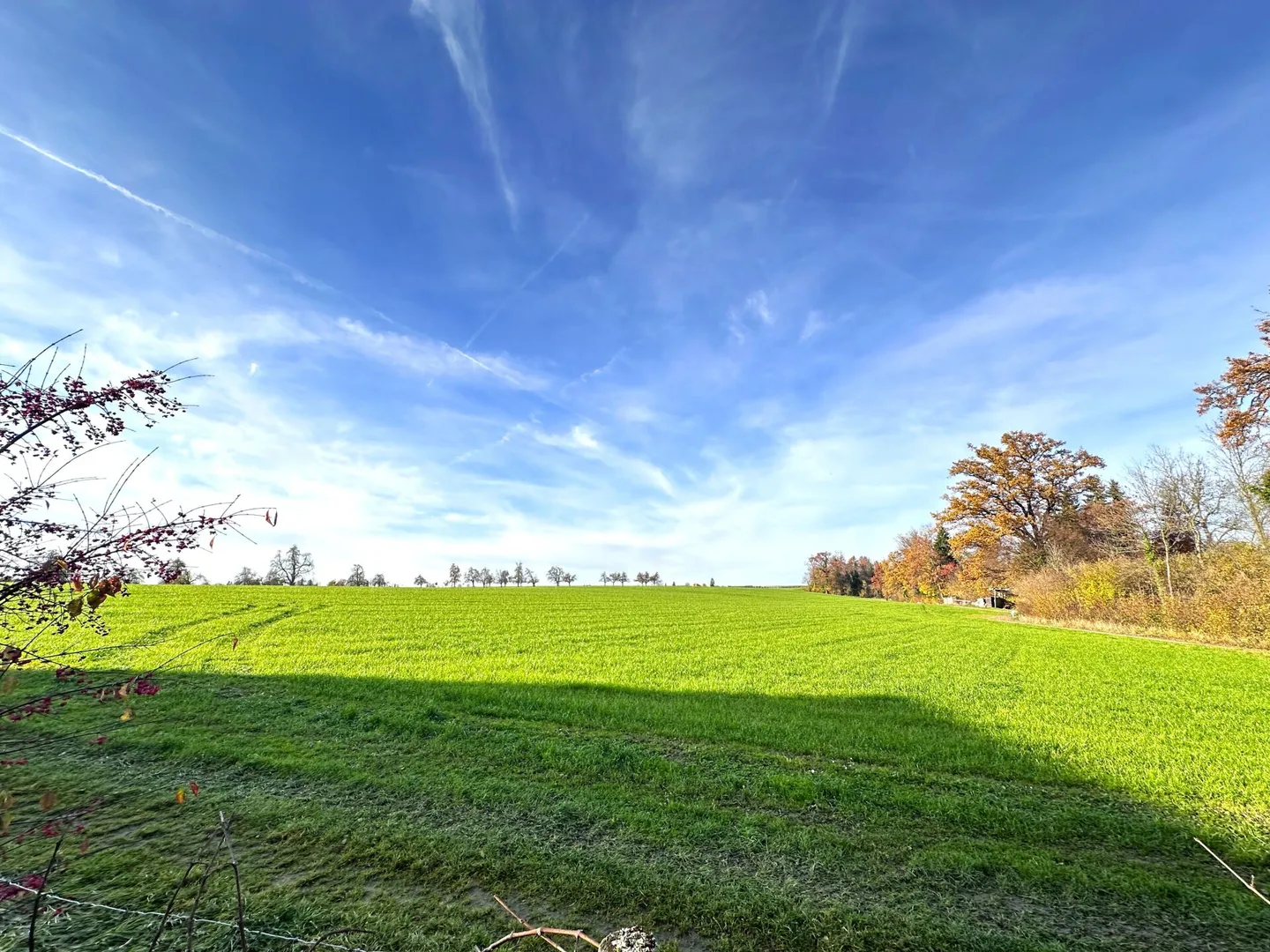 Appartement de 3.5 pièces avec jardin - Photo 1 sur 15