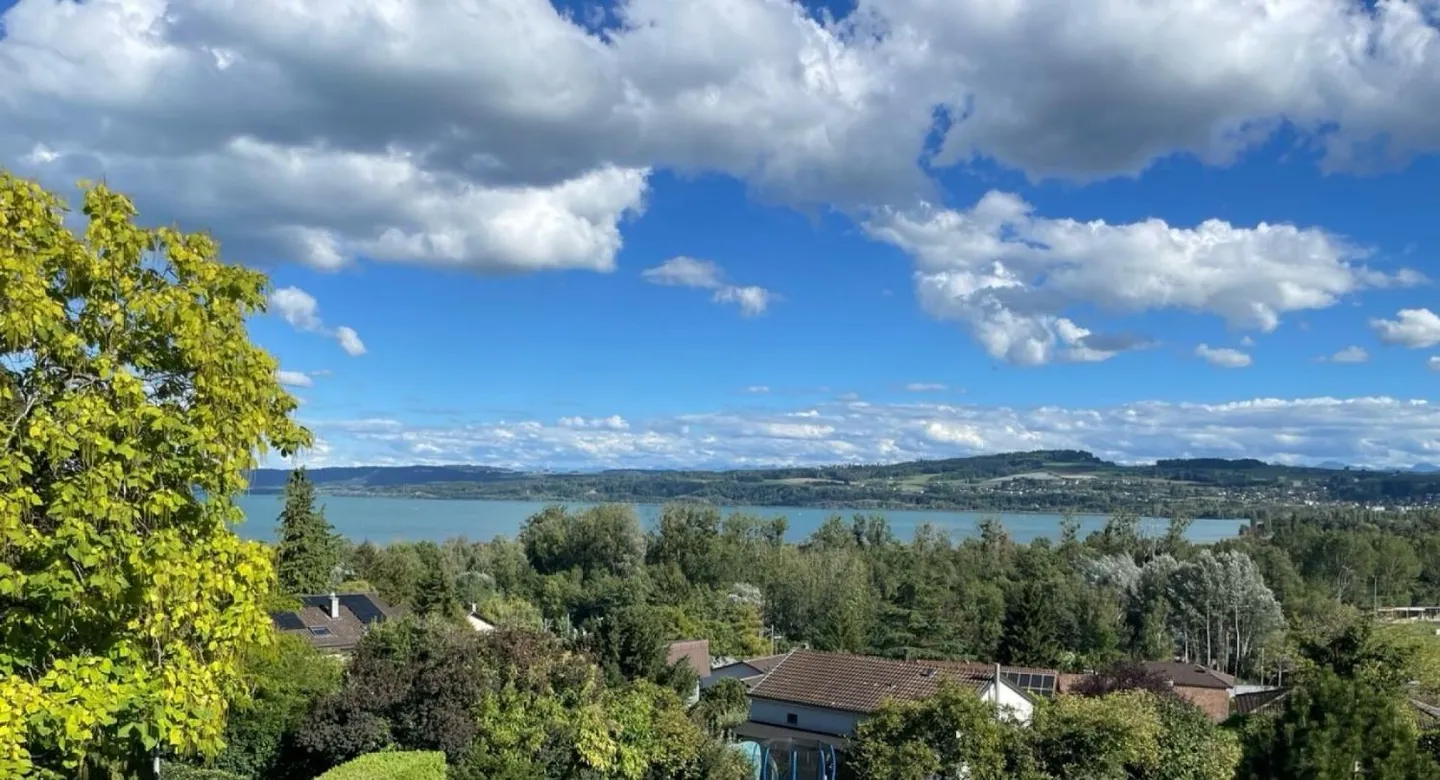 Magnifique Appartement Vue Lac - Photo 3 sur 6