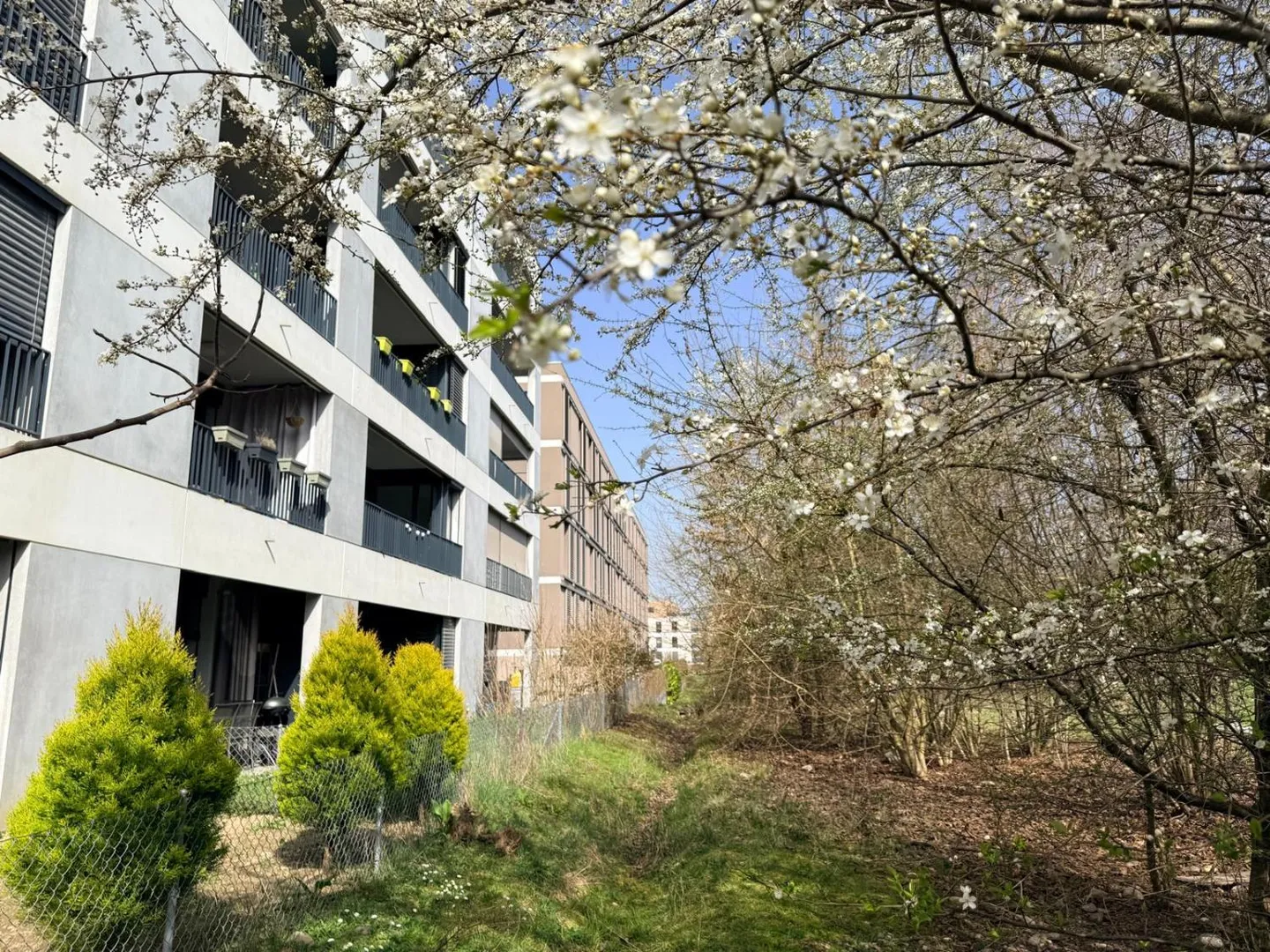 Appartement moderne de 4 pièces aux portes de Genève - Meyrin - Photo 1 of 11