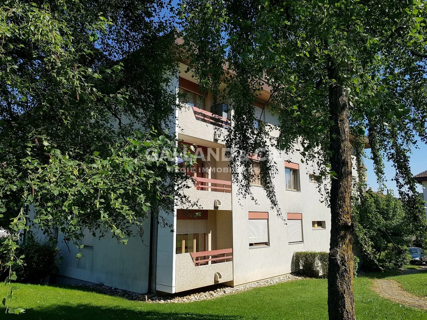 3.5 Room Apartment - Photo 1 of 1