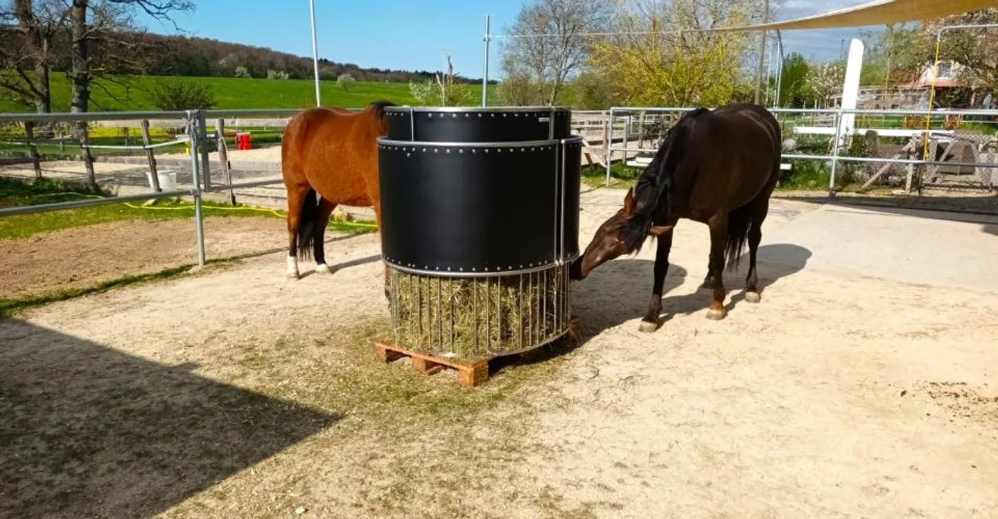 Ferme rénovée avec installations équestres - Photo 7 sur 29