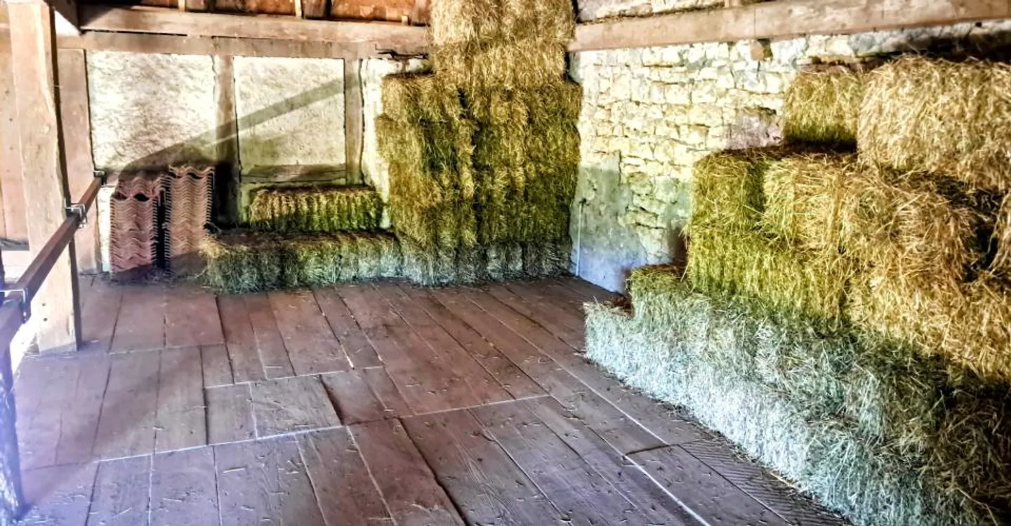 Ferme rénovée avec installations équestres - Photo 9 sur 29