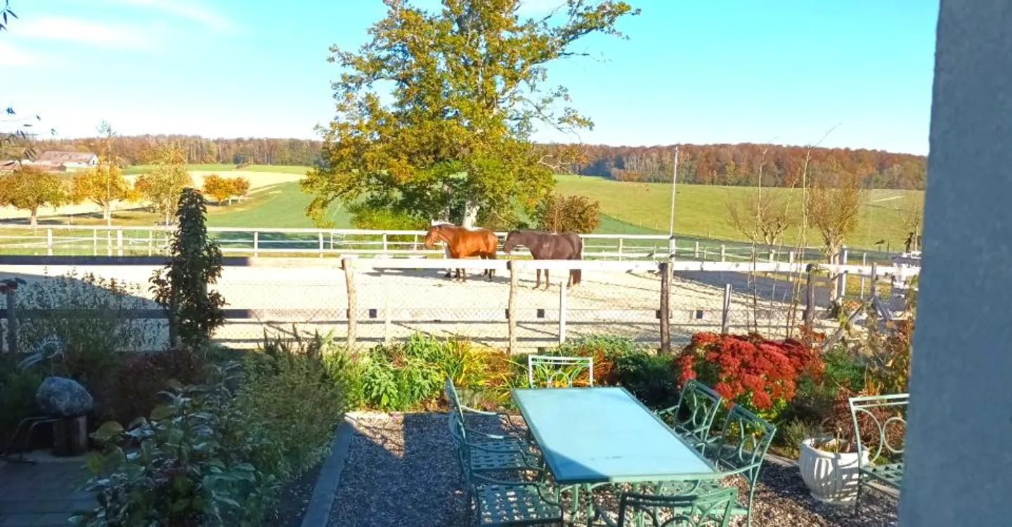 Ferme rénovée avec installations équestres - Photo 13 sur 29