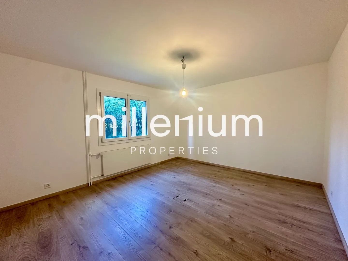 Casa singola in affitto - Foto 8 di 13